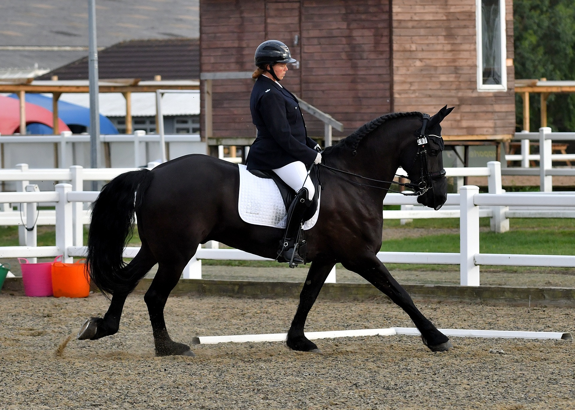 Forces Equine Inter Prison Service League