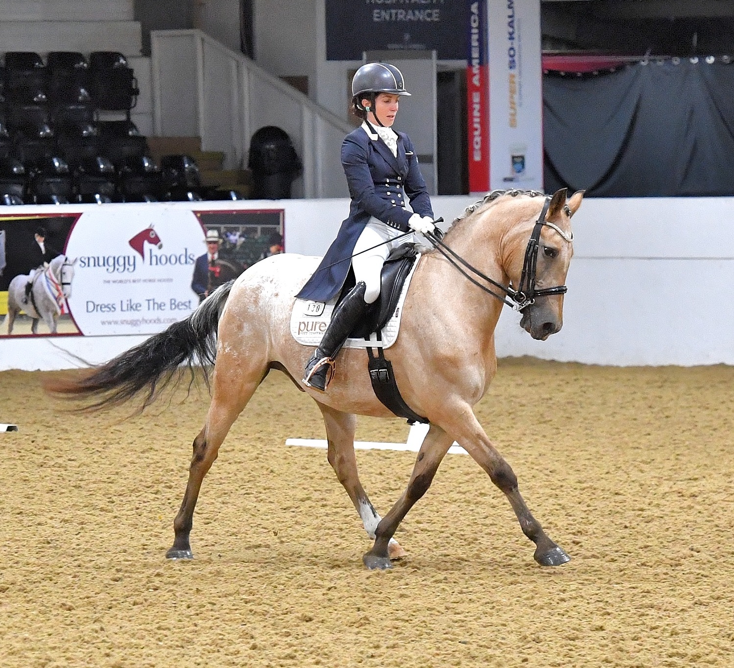 Chantelle Oliver Dressage