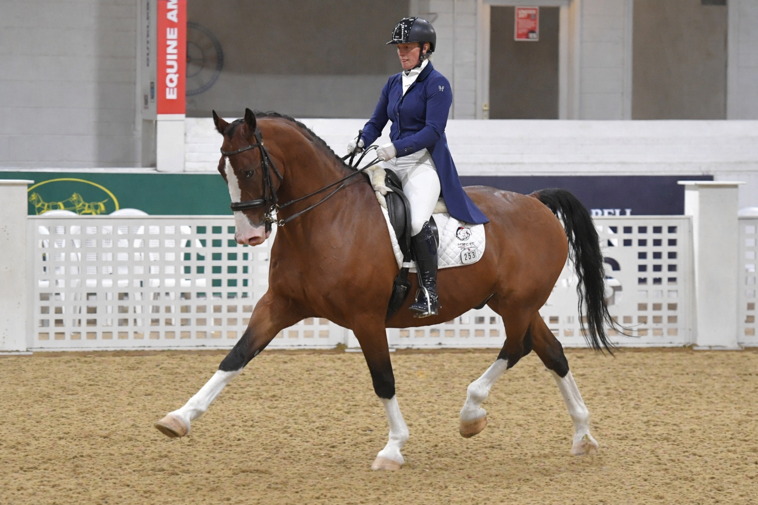 Sally Walker Riding Dressage