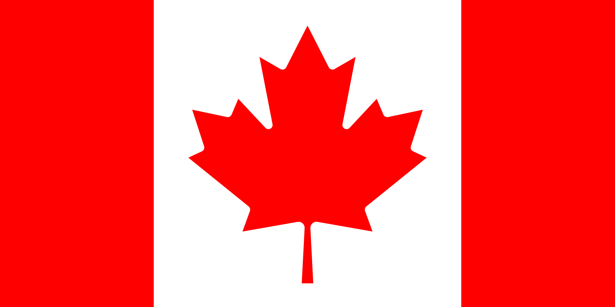 Forces Equine Expands Support to Canadian Military and Frontline Communities Through Equitation Initiatives