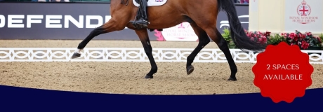 Lewis Carrier Dressage Clinic