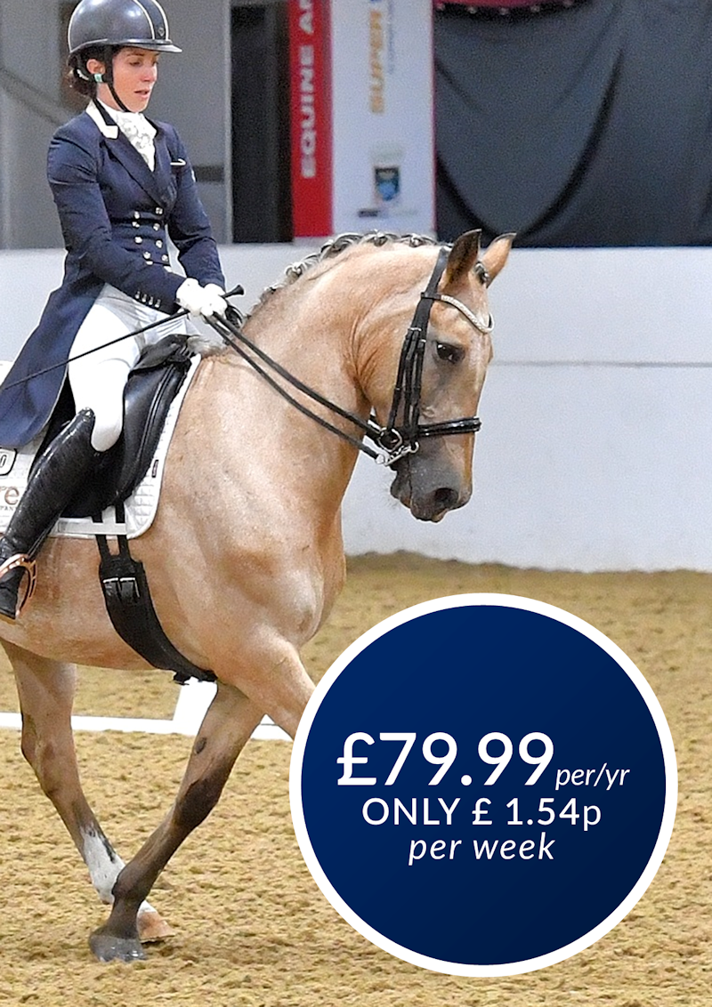 Forces Equine Senior Membership