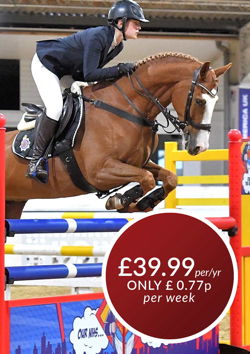 Forces Equine Senior Membership