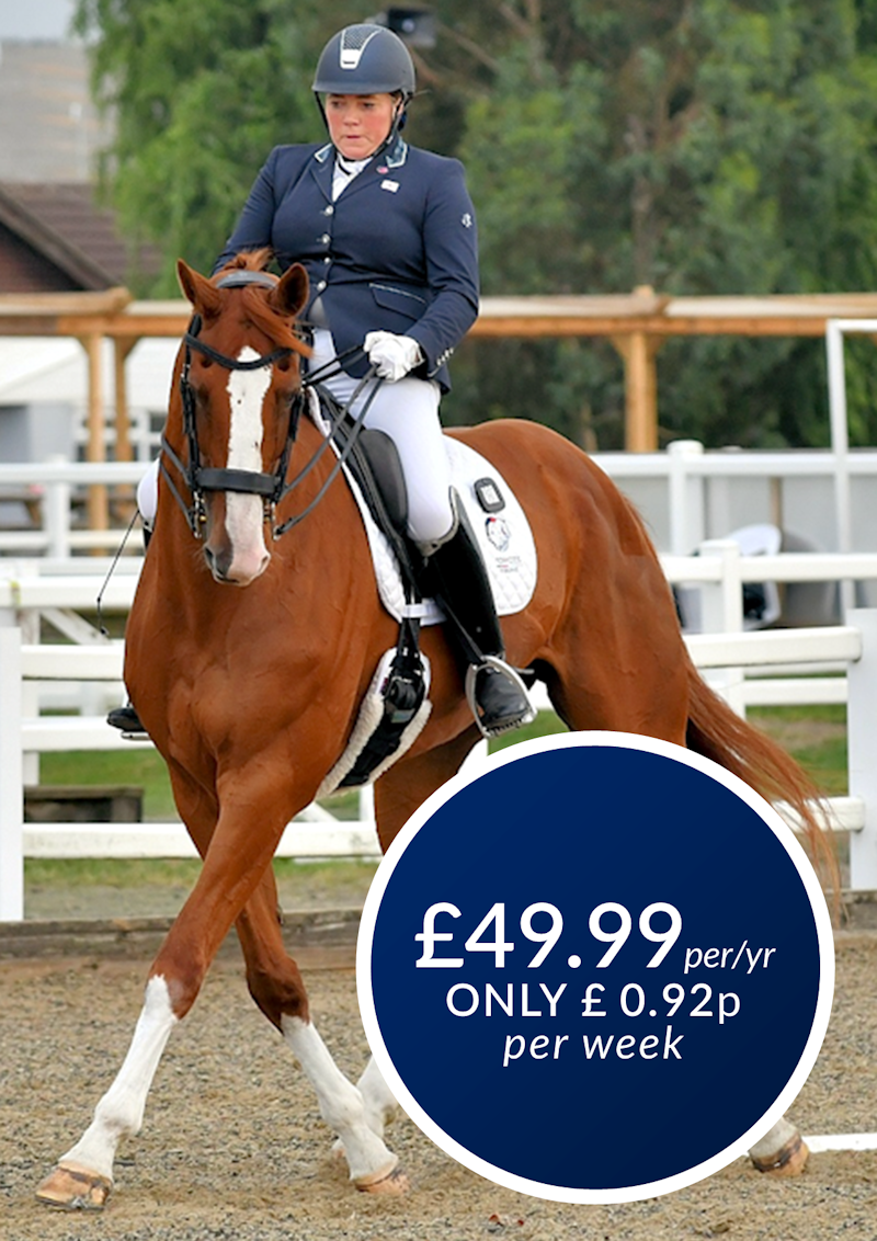 Forces Equine Senior Membership